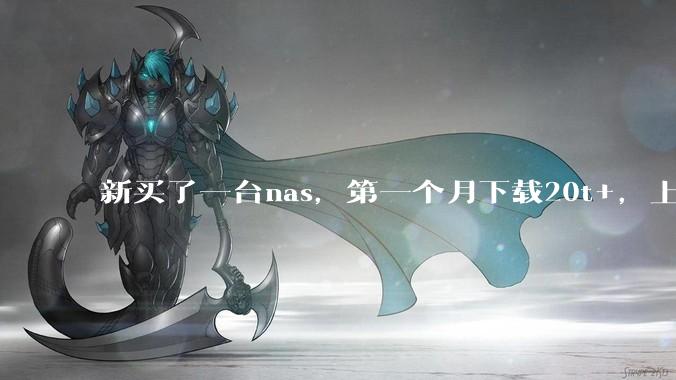 新买了一台nas，第一个月下载20t+，上传5+，不会被网警盯上吧?