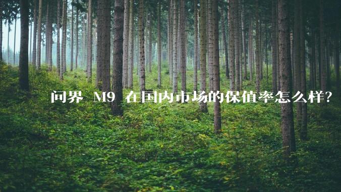 问界 M9 在国内市场的保值率怎么样？