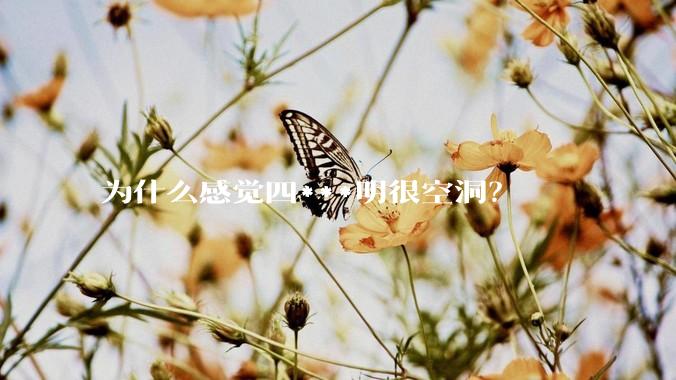 为什么感觉四***明很空洞？